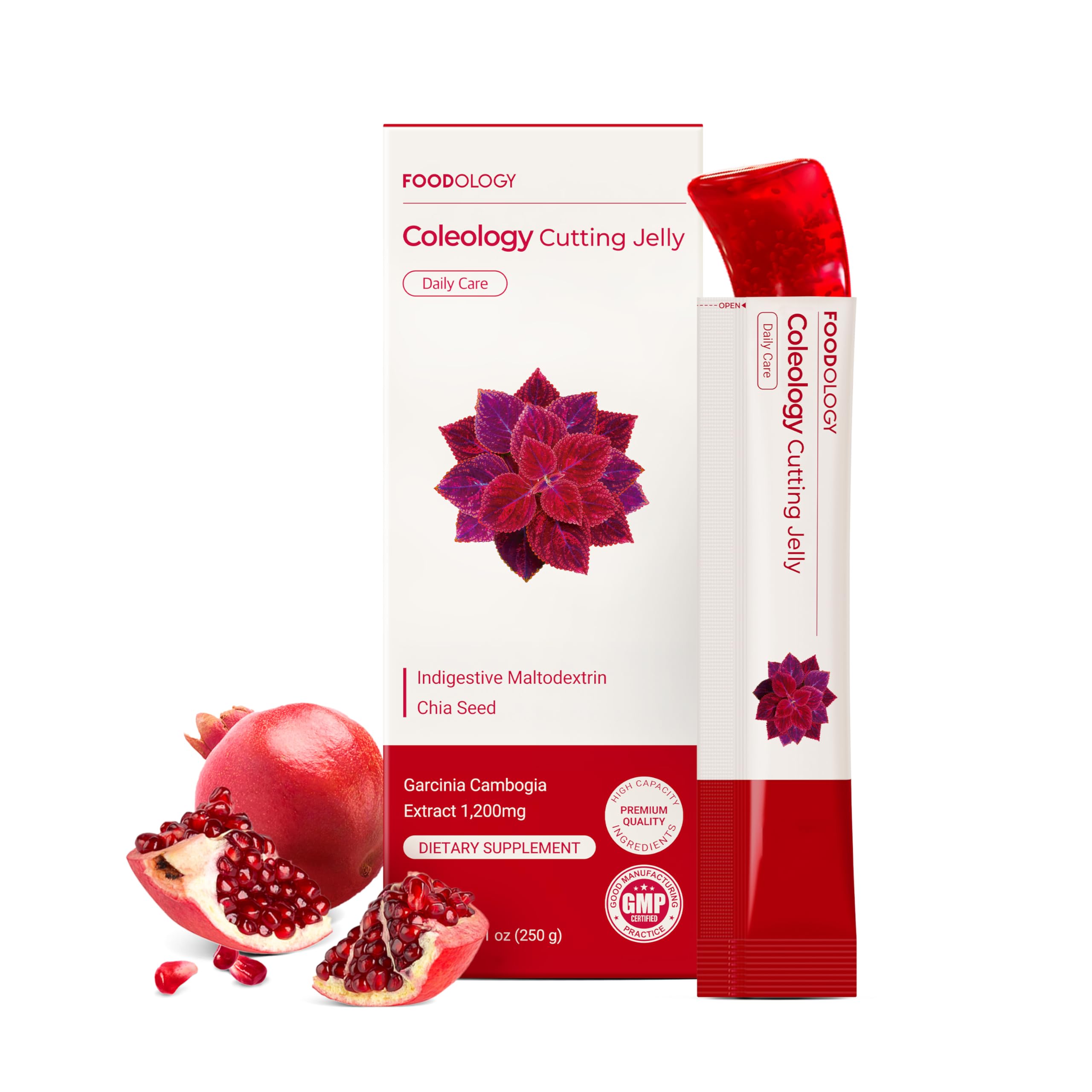 COLEOLOGY CUTTING JELLY